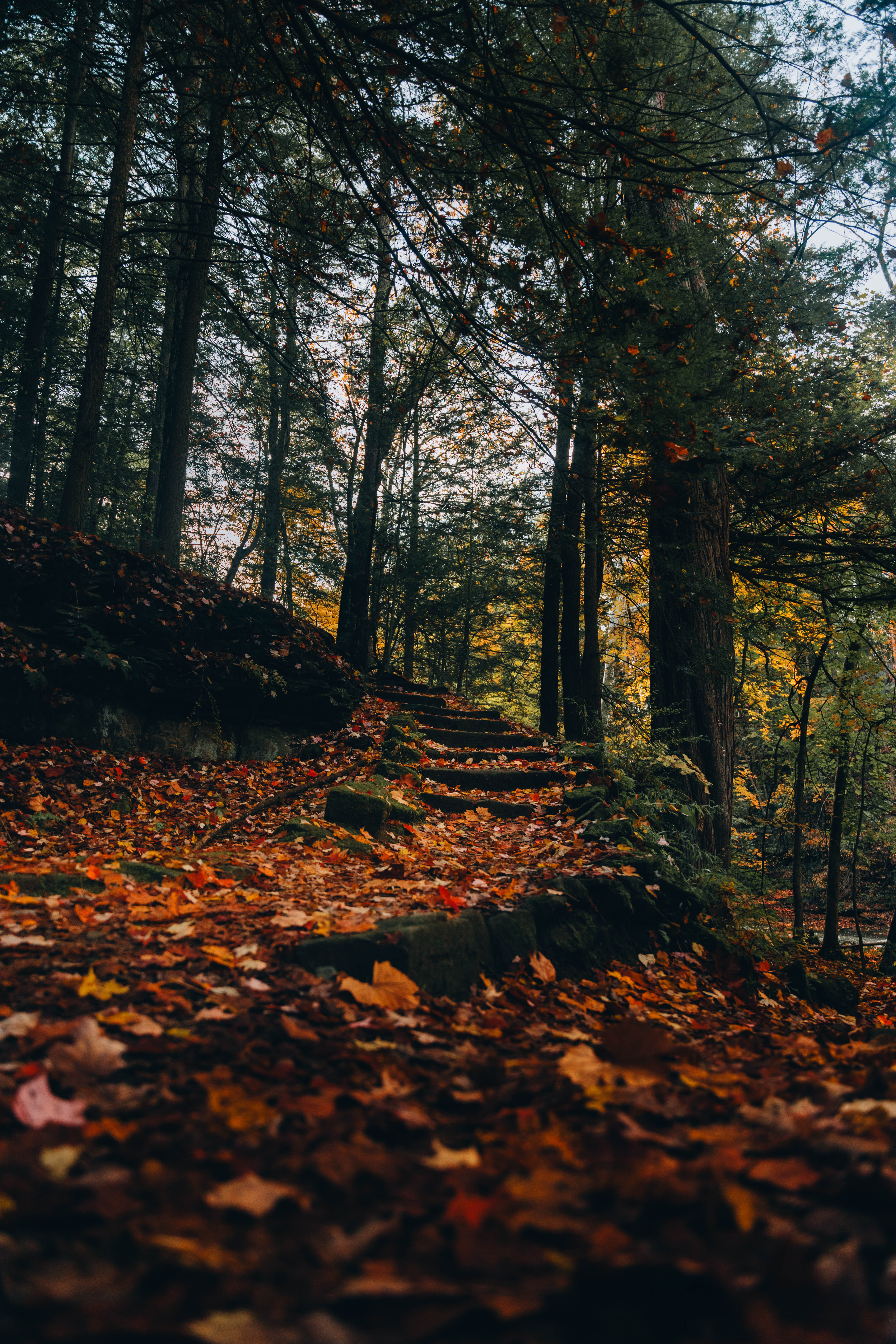 Autumn's Quiet Trail